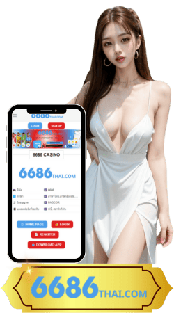 6686 com