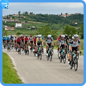 Cycle sport